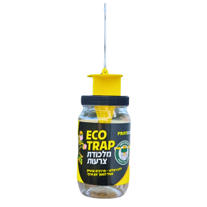 אקו טראפ ECO-TRAP – מלכודת מקצועית לצרעות | PROTECO